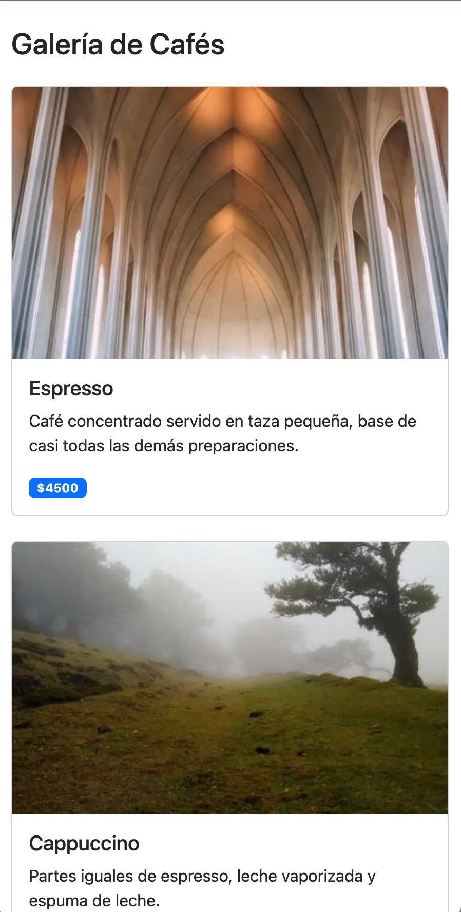 Galería de tarjetas en pantalla angosta, con 1 tarjeta por fila